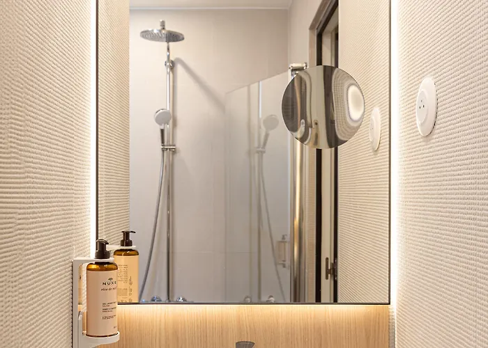 阿尔伯特第一酒店 尼斯