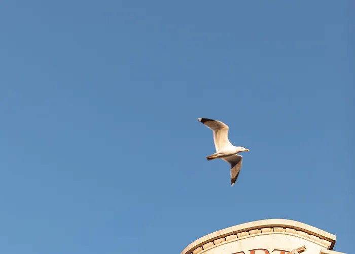 酒店 阿尔伯特第一酒店