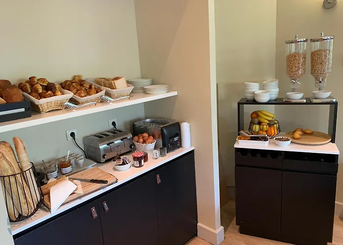 阿尔伯特第一酒店 尼斯